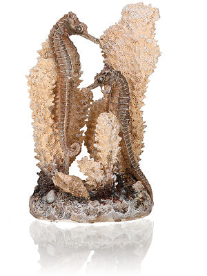 biorb-seepferdchen-natural-s-korallenriff-skulptur-ornament image 1