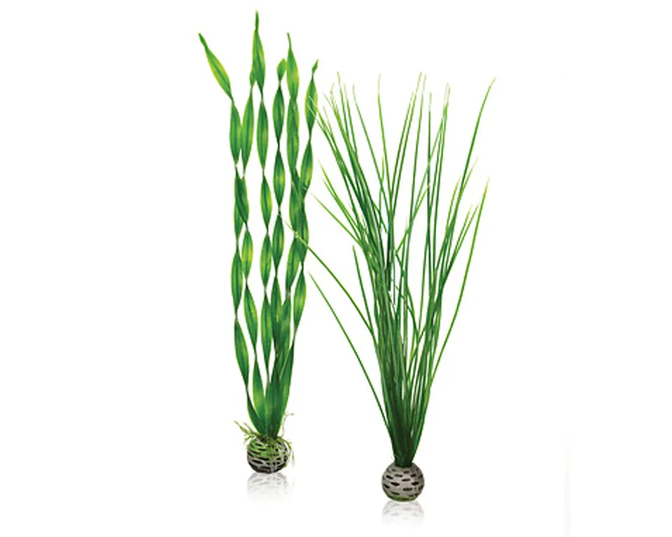 biorb-pflanzen-set-l-gr-n-aquarienpflanzen-deko-2-teilig image 1