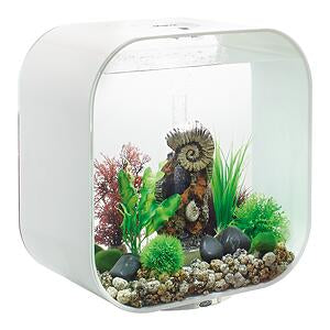 biorb-life-30-mcr-komplettaquarium-30-liter image 2