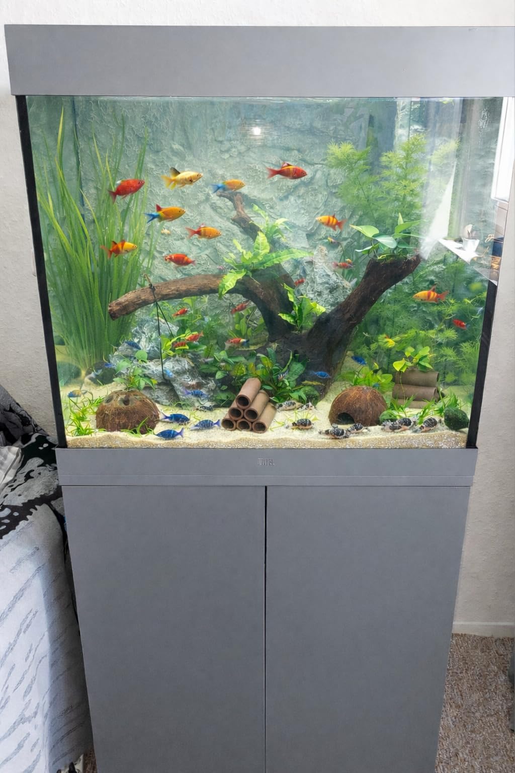 Perfekt fürs Wohnzimmer