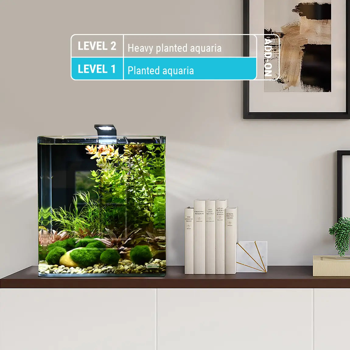 dennerle-plant-elixir-basic-universal-aquarienpflanzend-nger image 3