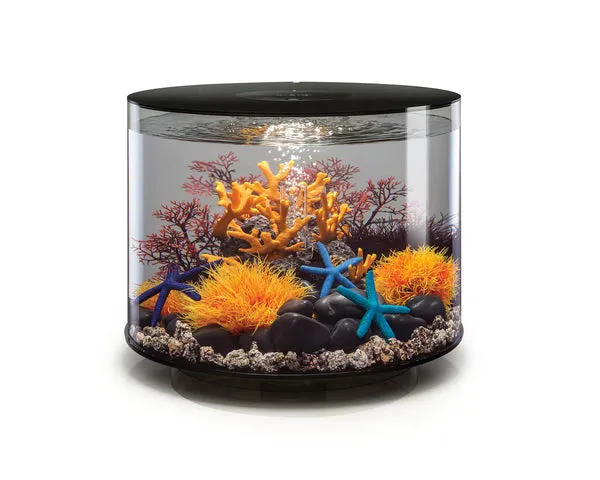 biorb-tube-35-mcr-design-komplettaquarium-35-l image 1