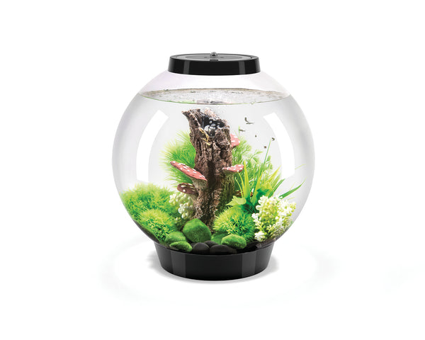biorb-classic-30-mcr-kugel-komplettaquarium-30-liter image 1