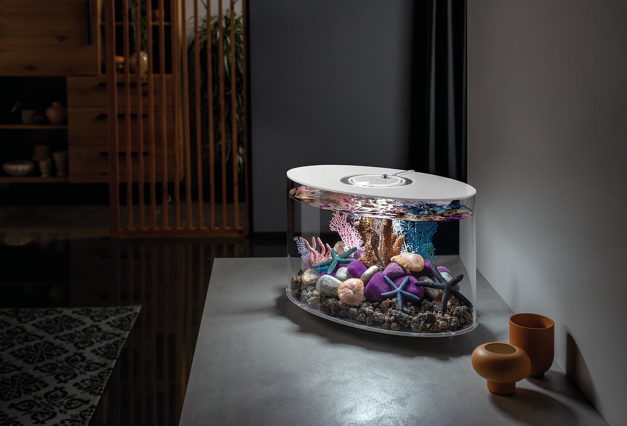 biorb-loop-15-led-komplettaquarium-15-liter-elliptisches-acryl-designaquarium-mi image 5