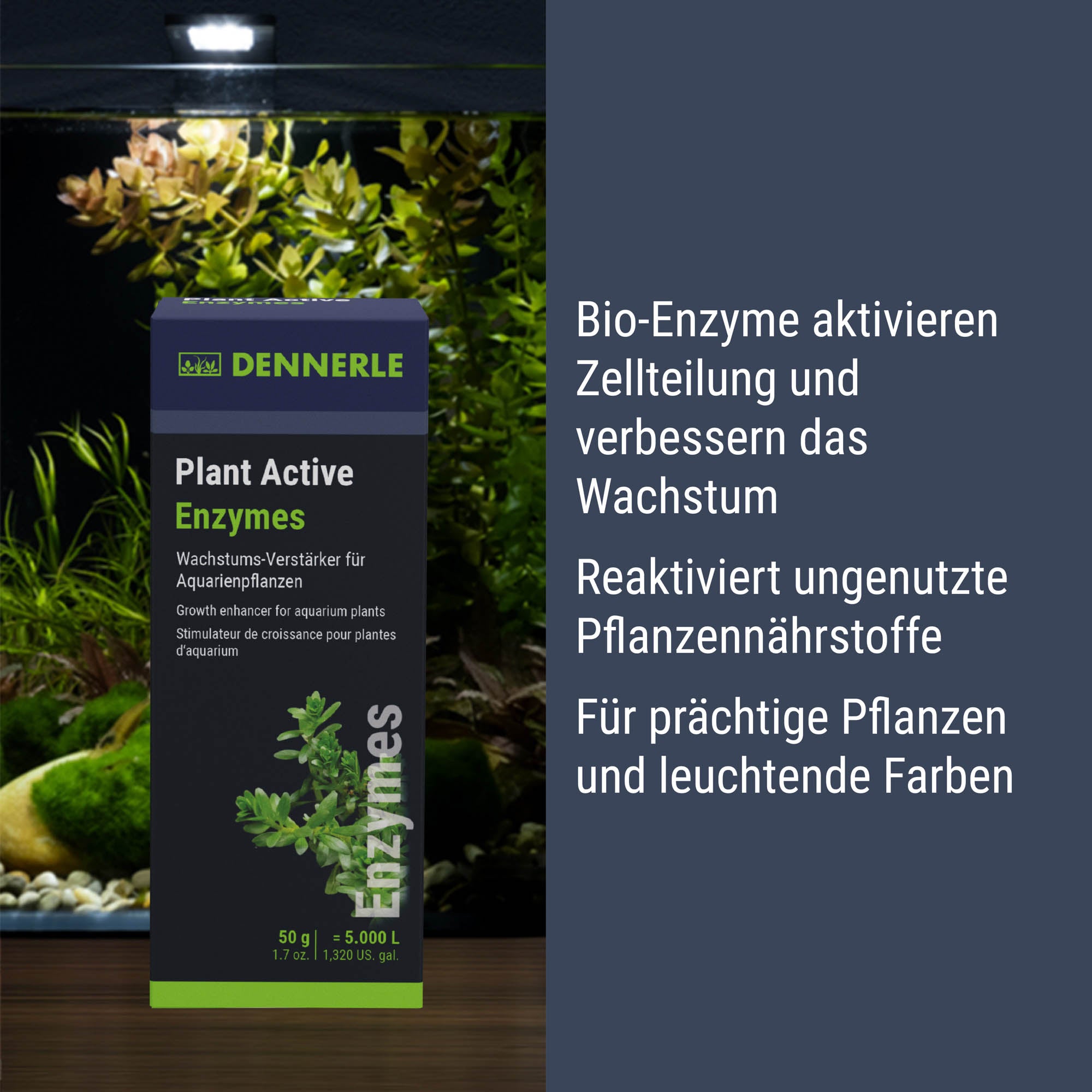 dennerle-plant-active-enzymes-pflanzenpflege image 8