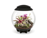 biorb-air-60-automatik-terrarium-60-liter-weiss-grau-schwarz image 7