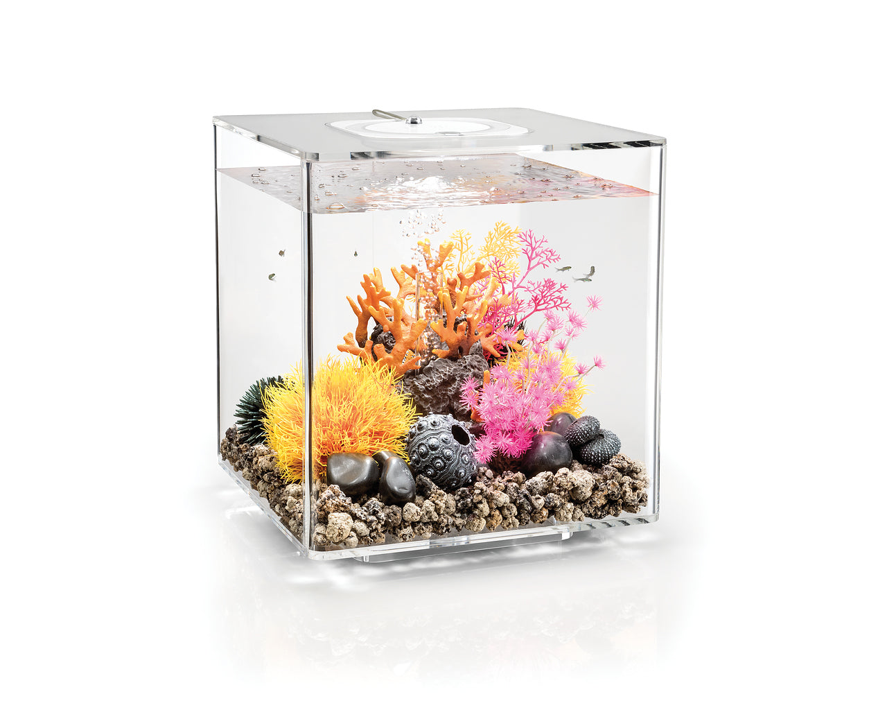 biorb-cube-30-led-design-komplettaquarium-30-l-mit-led-beleuchtung image 3