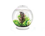 biorb-classic-30-led-kugel-aquarium-komplettset-30-liter image 8