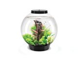 biorb-classic-30-led-kugel-aquarium-komplettset-30-liter image 6