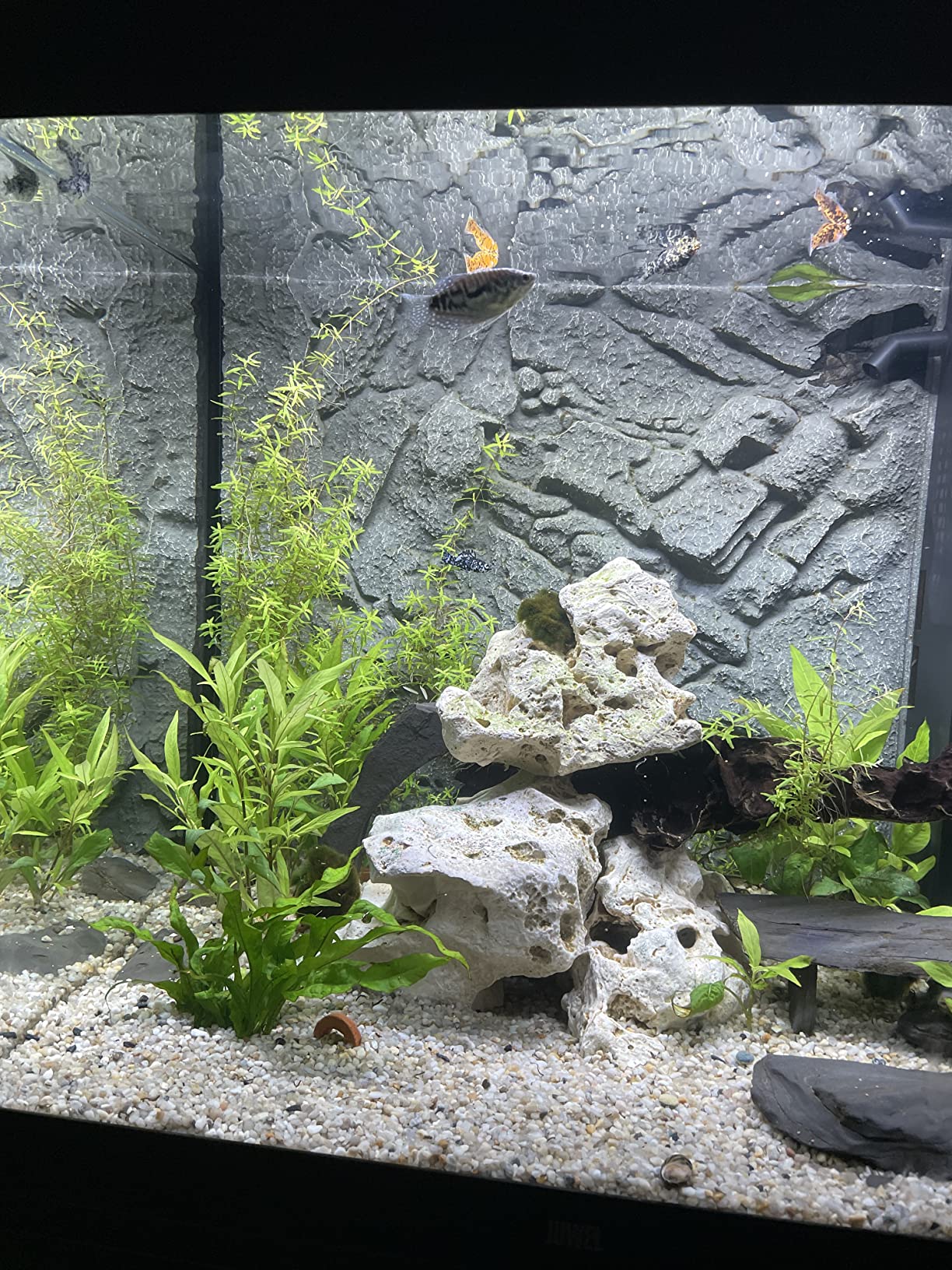 Natürliche Granitoptik