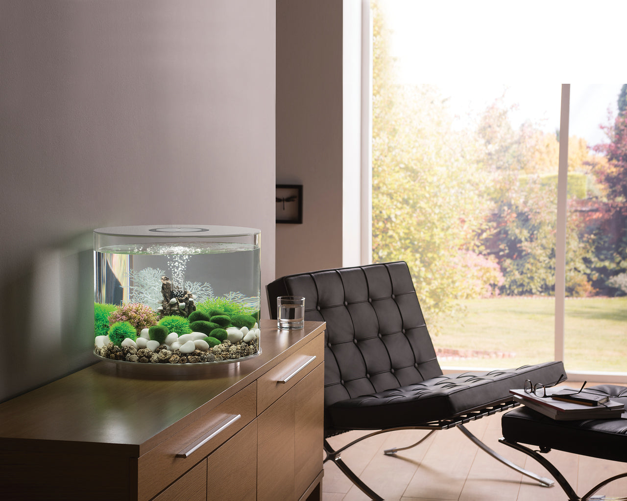 biorb-tube-35-led-komplettaquarium-35-liter image 4