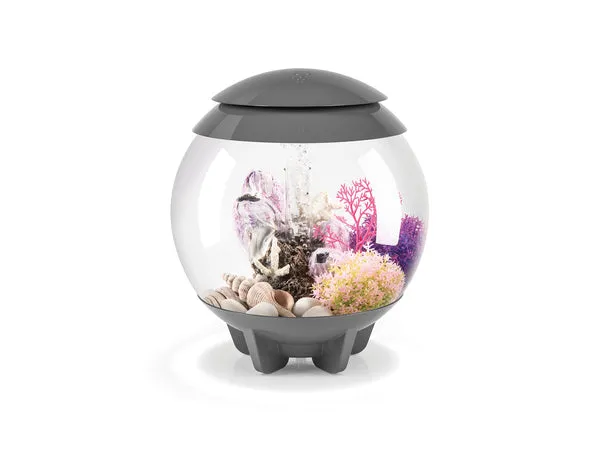 biorb-halo-15-mcr-design-komplettaquarium-15-liter image 1