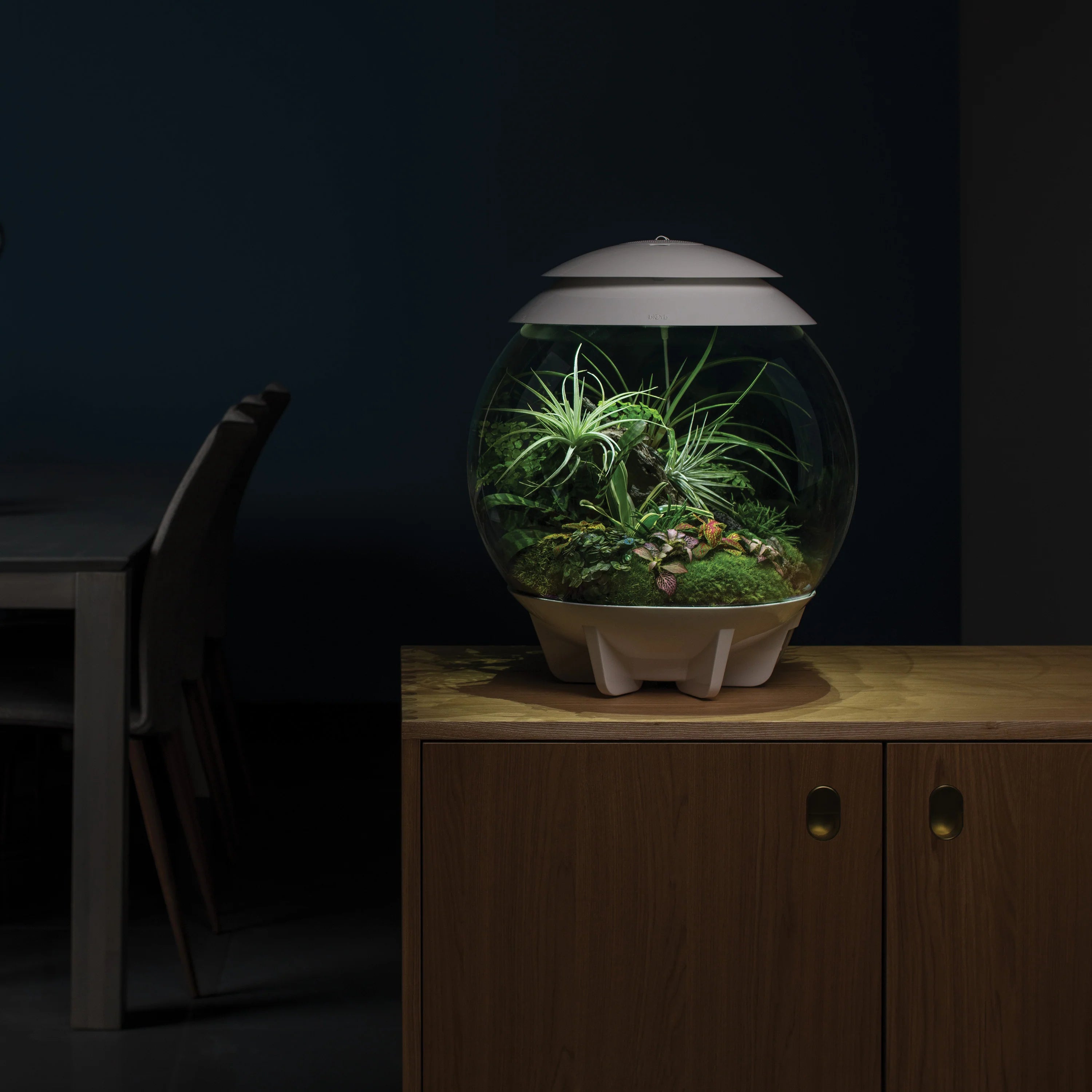 biorb-air-30-automatisiertes-terrarium-30-liter image 5