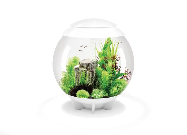 biorb-halo-60-led-design-komplettaquarium image 1