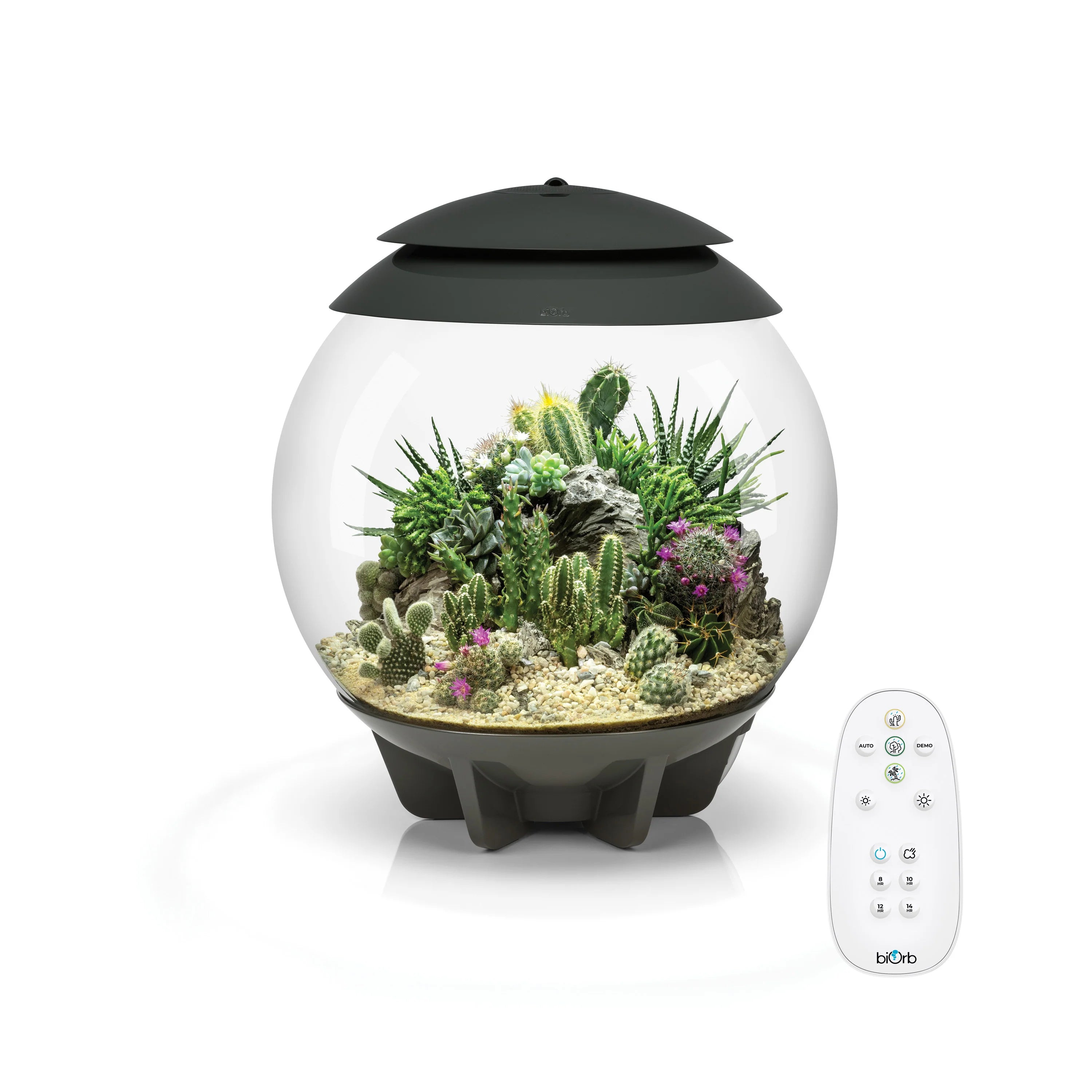biorb-air-30-automatisiertes-terrarium-30-liter image 2
