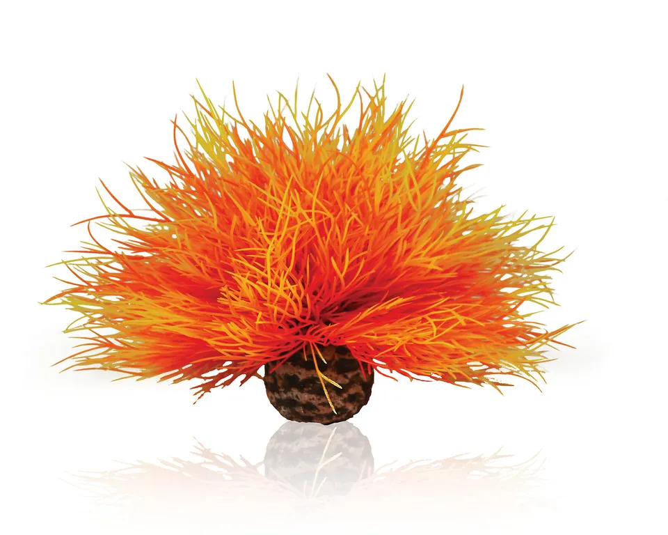 biorb-aquarien-seelilie-feuer-pflanzen-imitation image 1