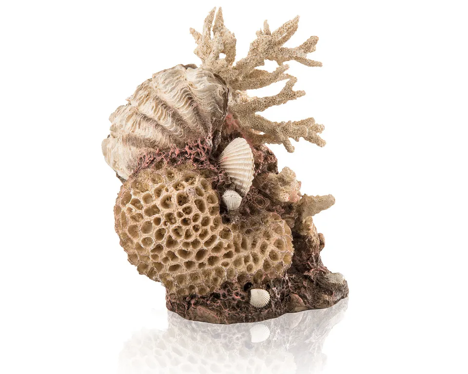biorb-korallen-muschel-ornament-natural-aquarium-deko image 1