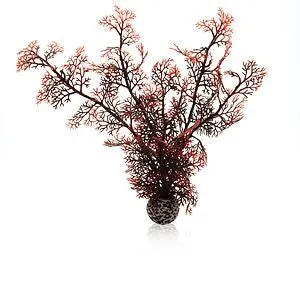 biorb-hornkoralle-m-dunkelrot-aquarium-dekoration image 1