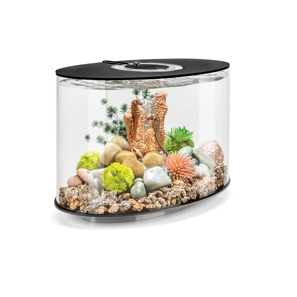 biorb-loop-15-mcr-design-komplettaquarium-15-liter-mit-farbsteuerung image 2