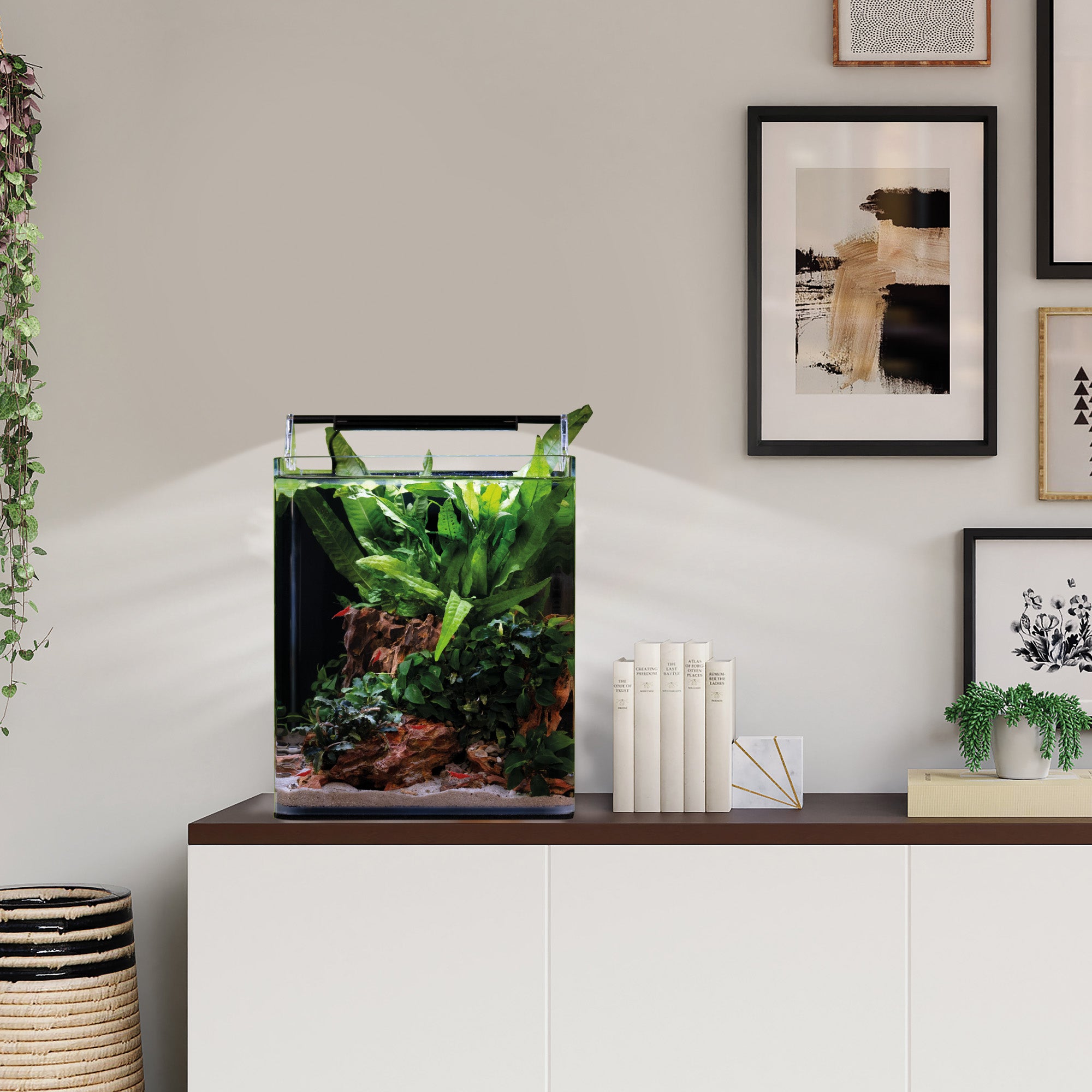 dennerle-nano-cube-complete-mini-aquarium-komplettset image 6