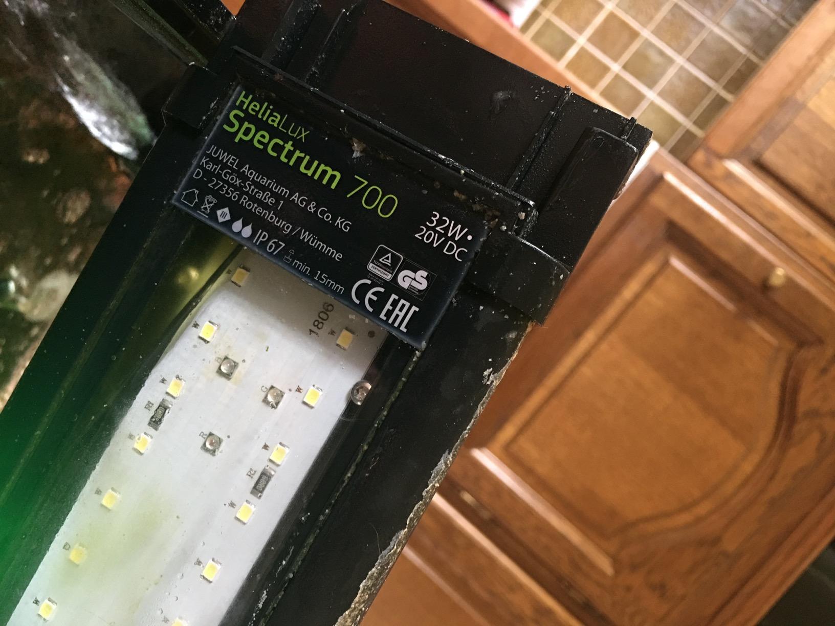 Brillante Farben im Diskusaquarium