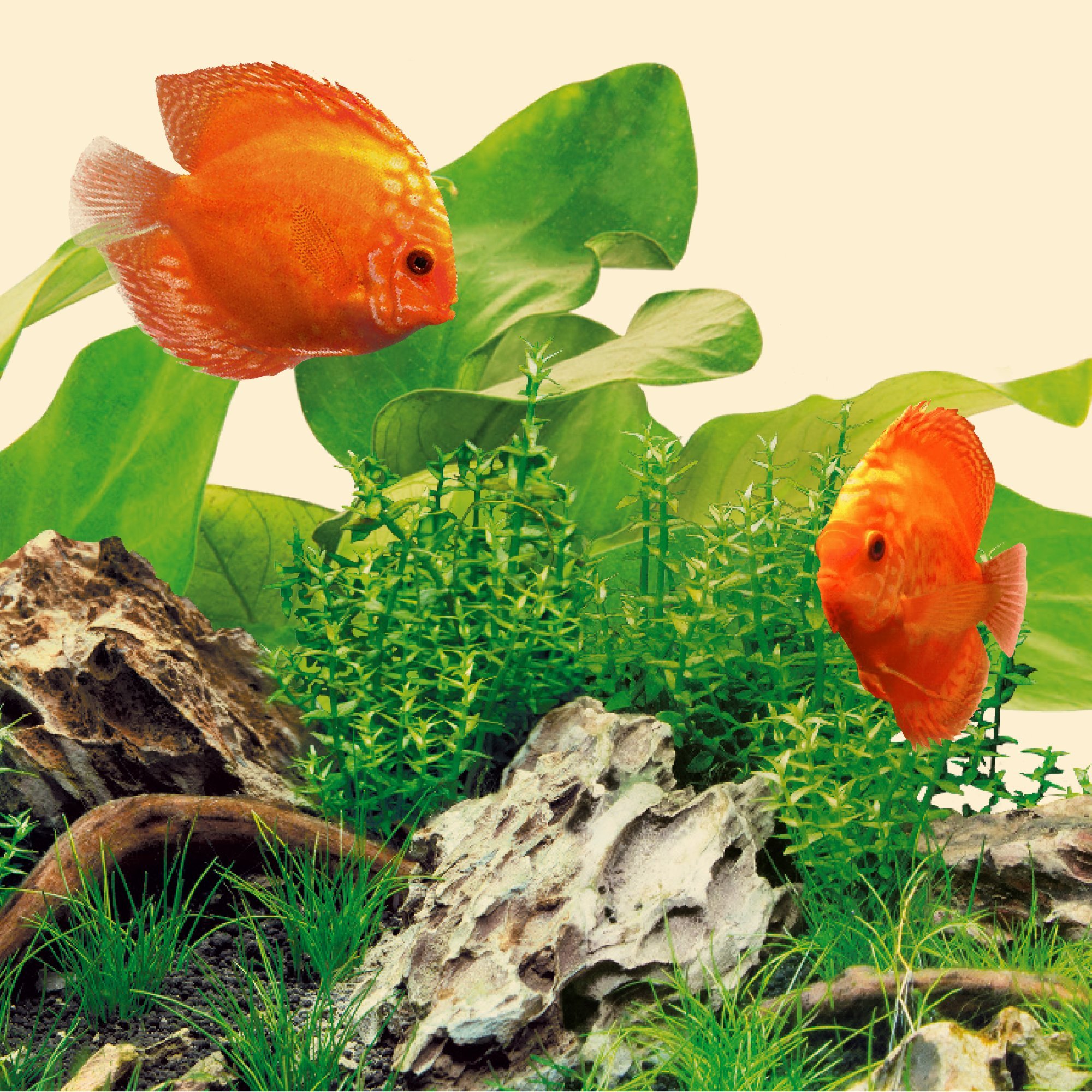 juwel-aquarium-led-nature-6500k-1047-mm-led-r-hre-f-r-multilux-led-120-cm image 3
