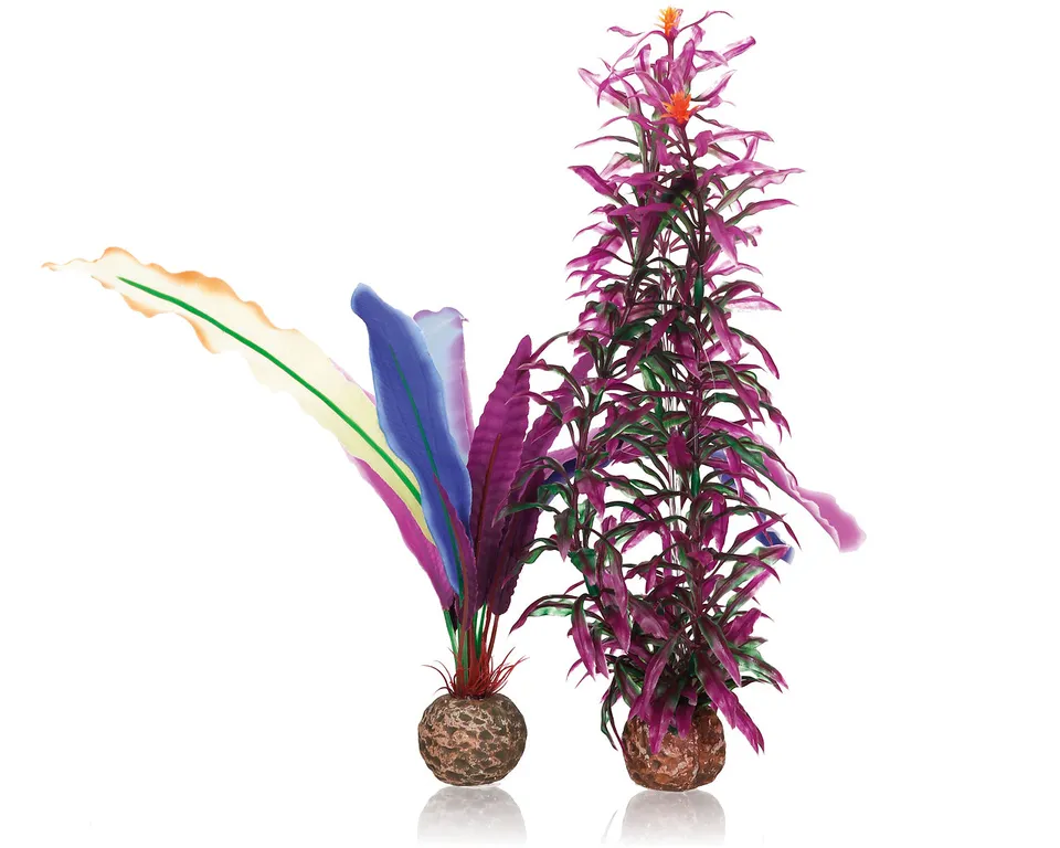 biorb-papageienfeder-s-aquarienpflanze-f-r-classic-co image 1