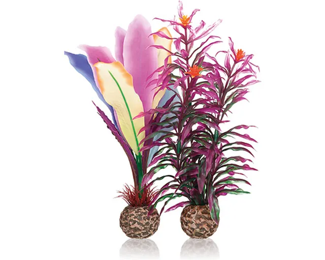 biorb-papageienfeder-m-aquarium-pflanze image 1