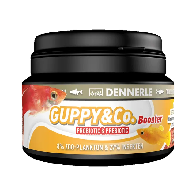 dennerle-guppy-booster-spezialfutter-f-r-guppy-platy-und-molly image 1
