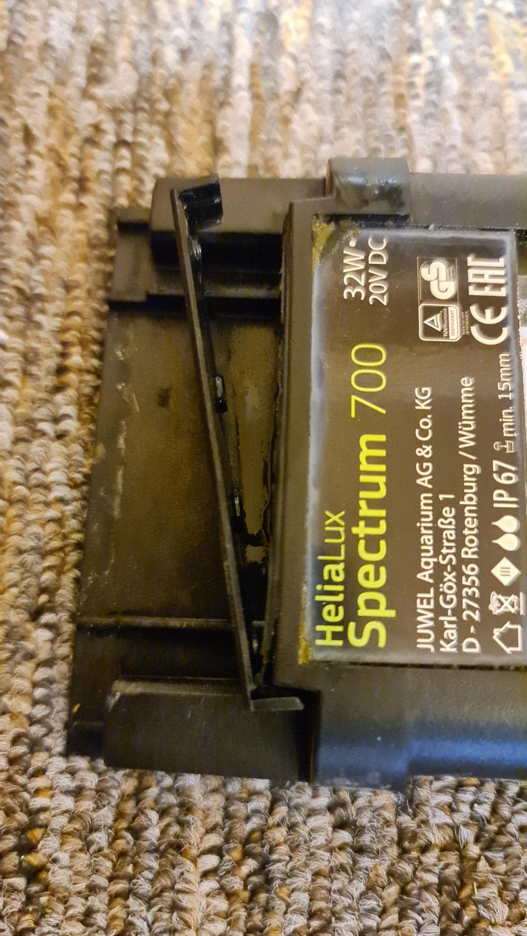 Starke Leuchte, Preis Chewie