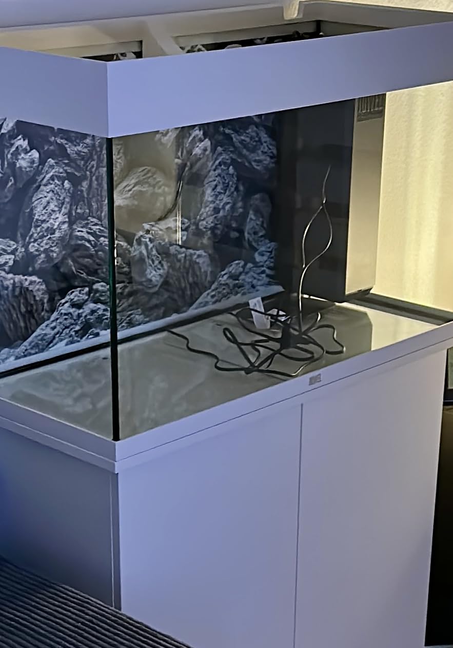 Traum Becken fürs Wohnzimmer