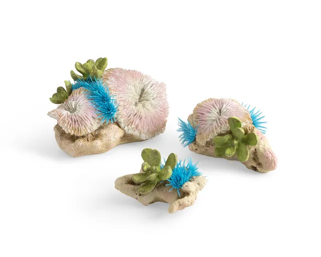 biorb-plattenkorallen-knopfpolypen-set-aquarium-deko image 1