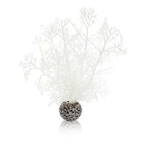 biorb-hornkoralle-s-wei-aquarienpflanze-klein image 1