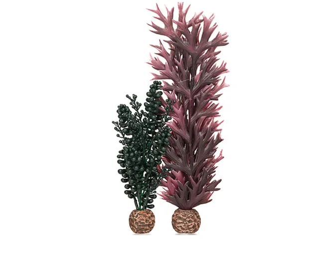 biorb-seeperlen-seetang-dunkelgr-n-s-pflanzen-deko-f-r-biorb-aquarien image 1