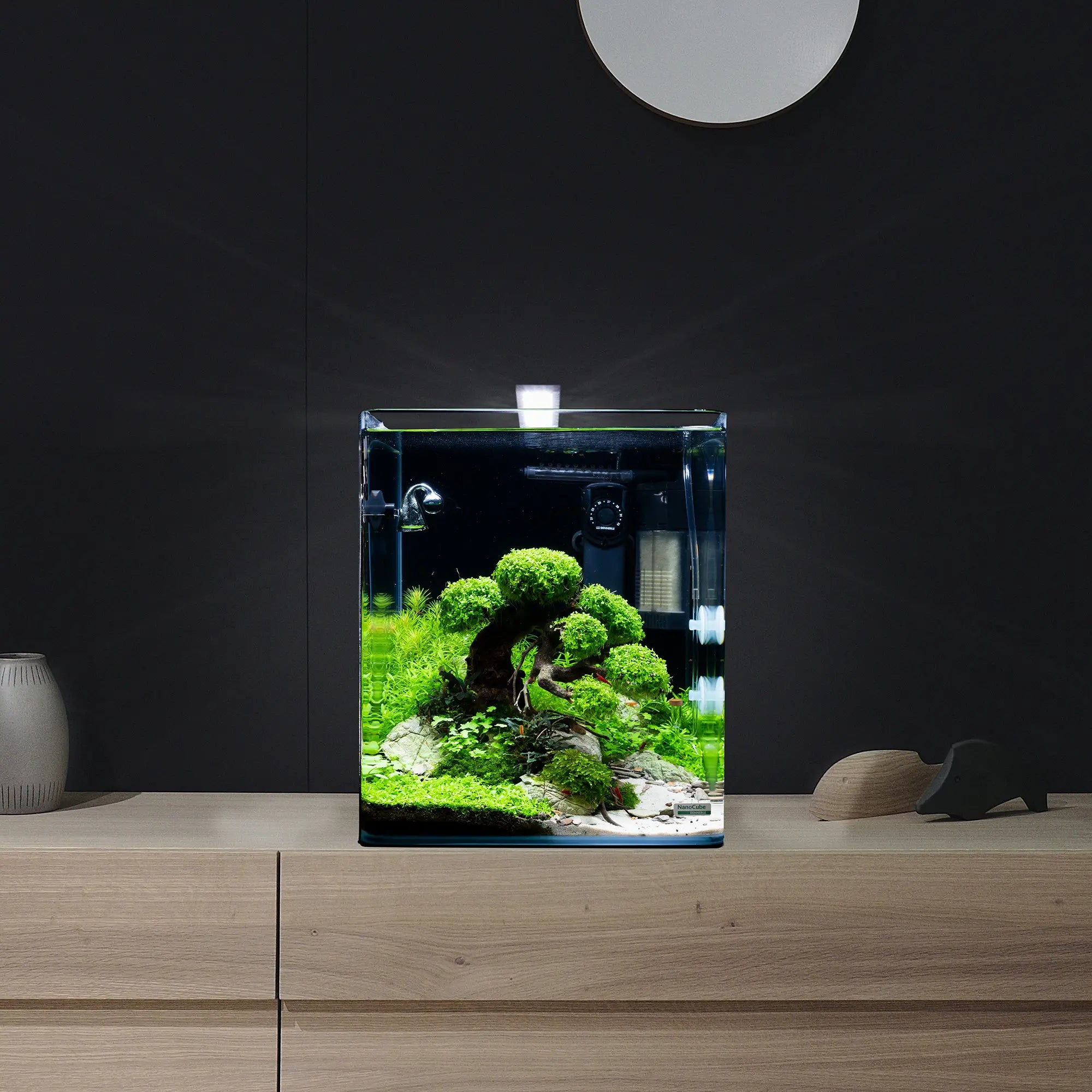 dennerle-decor-box-bonsai-aquascaping-deko-set-f-r-s-wasser-aquarien image 3