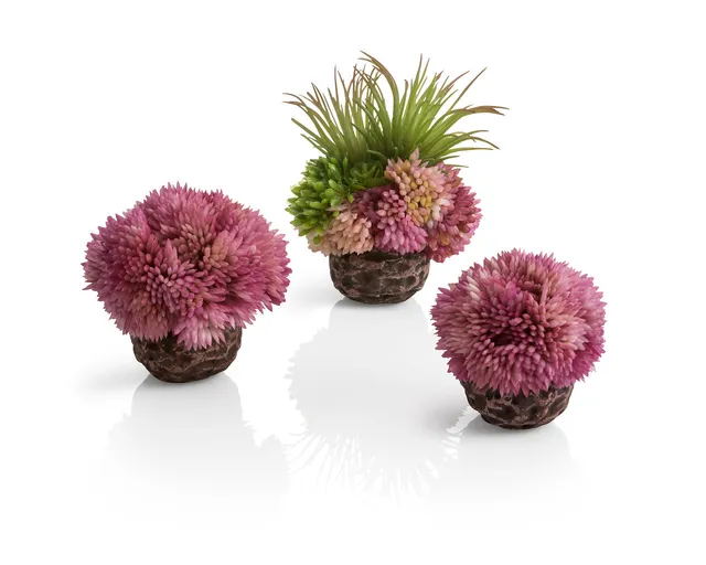 biorb-korallenball-set-lila-aquarium-ornament-8-x-8-x-9-cm image 1