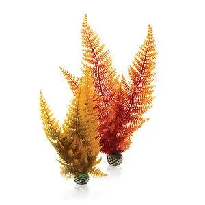 biorb-herbstfarn-set-2-aquarium-pflanzen-2er-set image 1