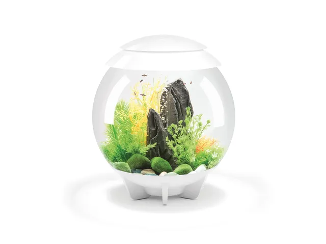 biorb-halo-30-mcr-komplettaquarium-30-liter image 1