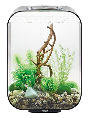 biorb-life-15-led-komplettaquarium-15-liter-transparent-wei-schwarz image 3
