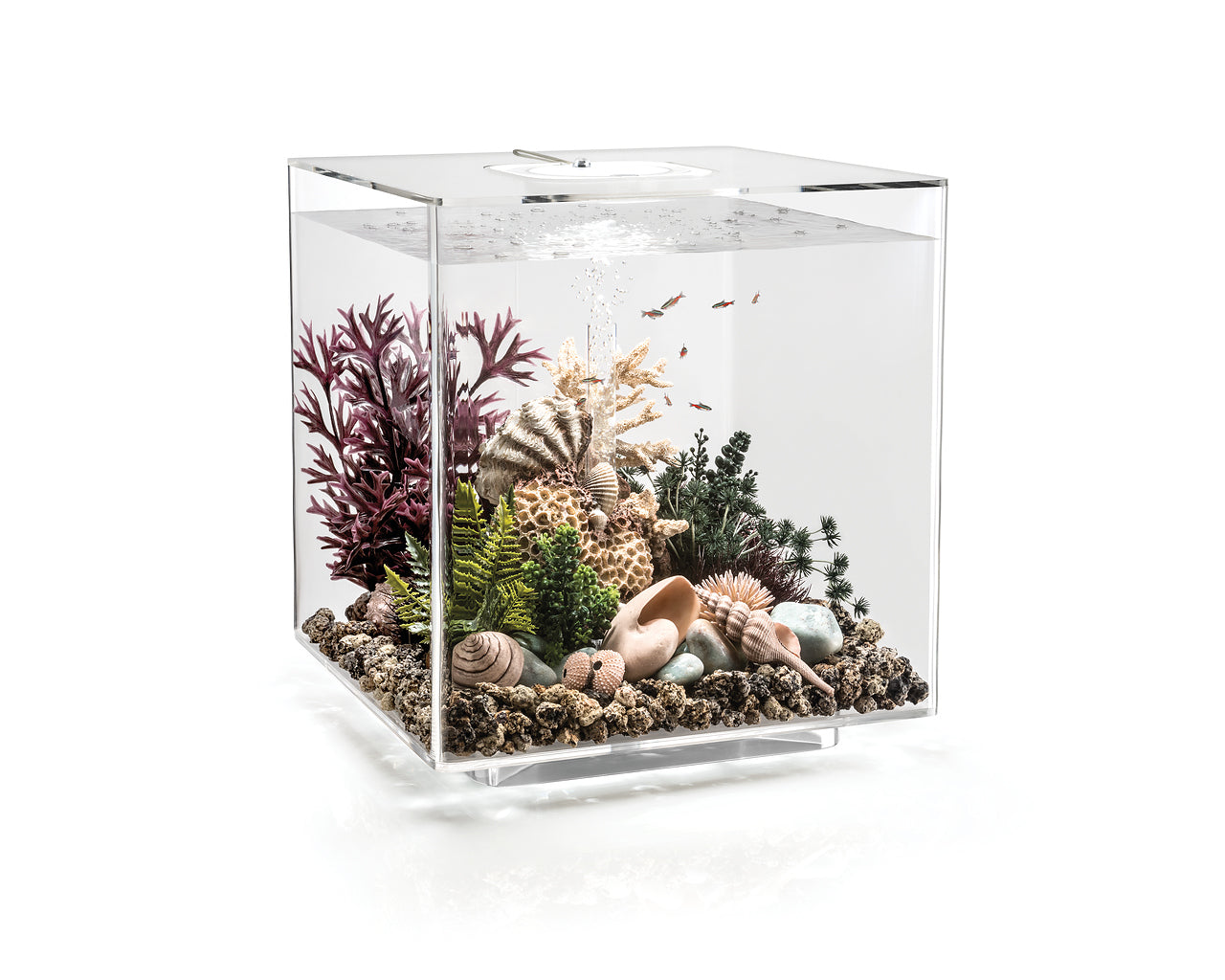 biorb-cube-60-mcr-komplettaquarium-60-liter-mit-led image 3