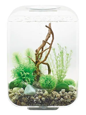 biorb-life-15-led-komplettaquarium-15-liter-transparent-wei-schwarz image 1