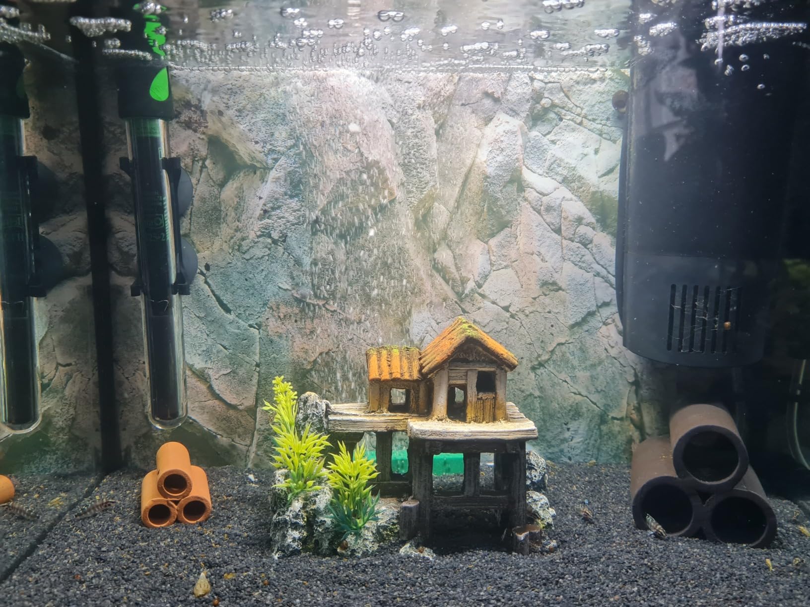 Verwandelt das Aquarium