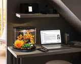 biorb-tube-15-mcr-design-komplettaquarium-15-liter image 7