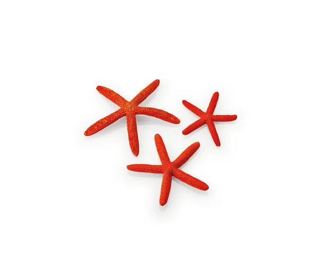 biorb-seesterne-set-3-rot-aquarium-deko-3-teilig image 1
