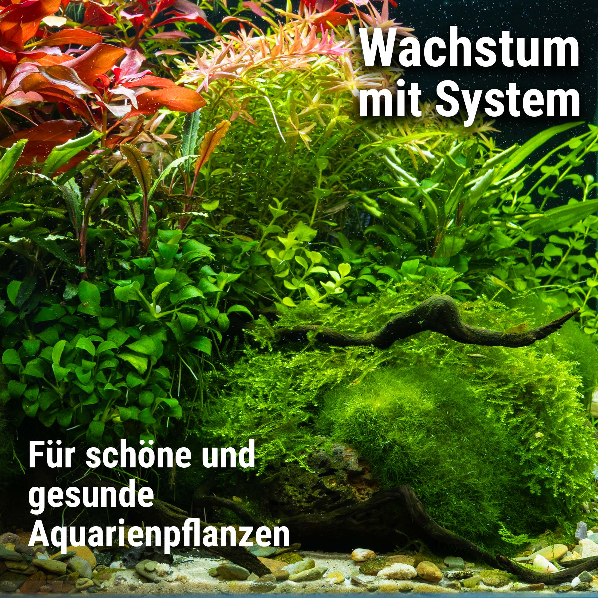 dennerle-plant-system-set-nano-3-komponenten-d-ngesystem image 3