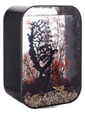 biorb-life-45-mcr-design-komplettaquarium-45-liter-schwarz-wei-transparent image 7