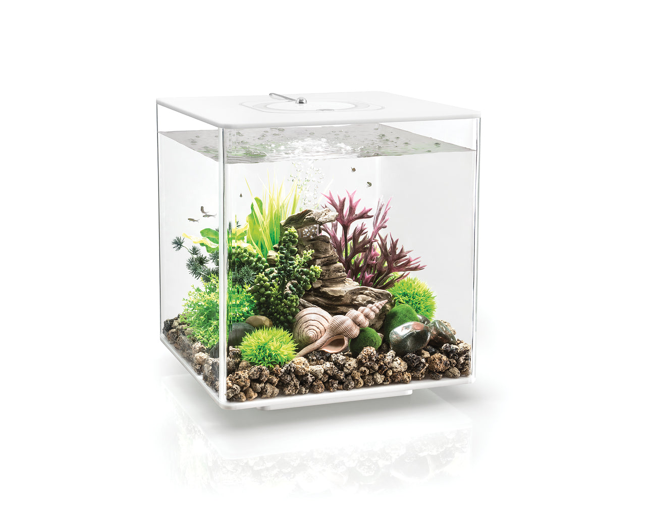 biorb-cube-30-mcr-komplettaquarium-30-liter image 4