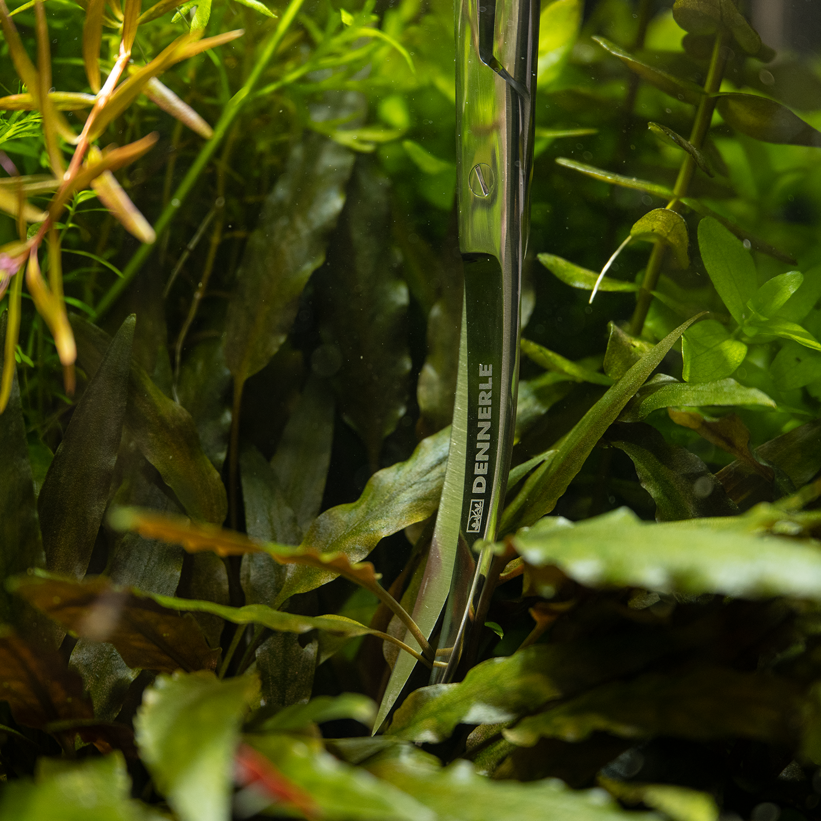 dennerle-plant-scissor-curved-gebogene-aquarien-pflanzenschere image 2