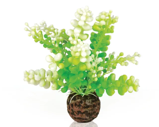 biorb-caulerpa-gr-n-aquarienpflanze-20-cm-pflanzen-imitation-f-r-alle-biorb-aqua image 1