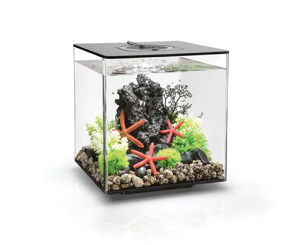 biorb-cube-30-mcr-komplettaquarium-30-liter image 1